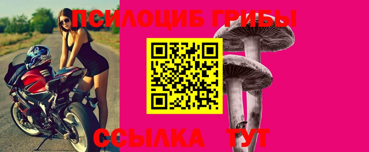 Галлюциногенные грибы Psilocybine cubensis  сколько стоит  Сухой Лог  Вход с VPN 